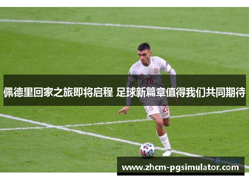 佩德里回家之旅即将启程 足球新篇章值得我们共同期待