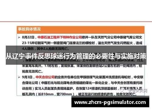 从辽宁事件反思球迷行为管理的必要性与实施对策