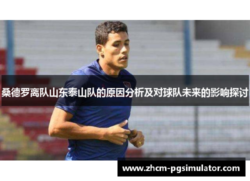 桑德罗离队山东泰山队的原因分析及对球队未来的影响探讨