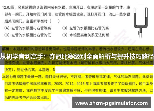从初学者到高手：夺冠比赛级别全面解析与提升技巧路径