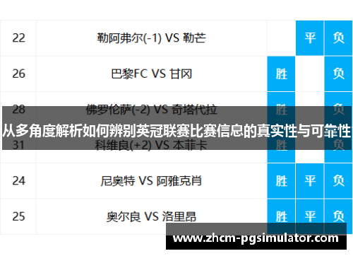 从多角度解析如何辨别英冠联赛比赛信息的真实性与可靠性