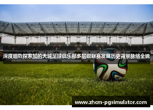 深度细致探索加的夫城足球俱乐部多层级联赛发展历史背景脉络全貌