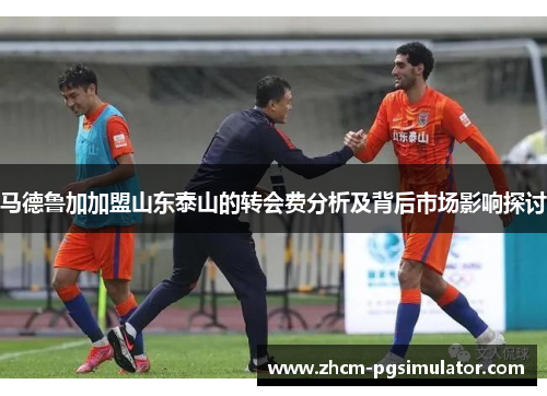 马德鲁加加盟山东泰山的转会费分析及背后市场影响探讨