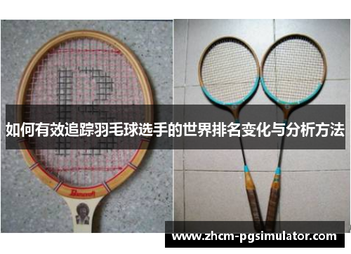 如何有效追踪羽毛球选手的世界排名变化与分析方法
