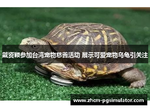戴资颖参加台湾宠物慈善活动 展示可爱宠物乌龟引关注 戴资颖参加台湾宠物慈善活动 展示可爱宠物乌龟引关注