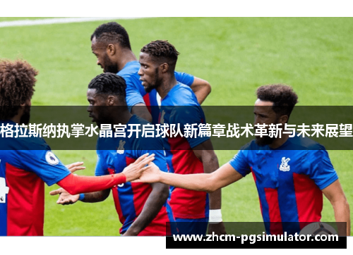 格拉斯纳执掌水晶宫开启球队新篇章战术革新与未来展望