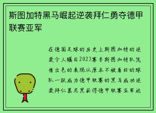 斯图加特黑马崛起逆袭拜仁勇夺德甲联赛亚军 斯图加特黑马崛起逆袭拜仁勇夺德甲联赛亚军